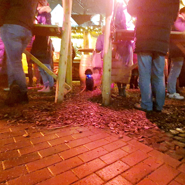 Weihnachtsmarkt ohne uns, weil da Hunde sind