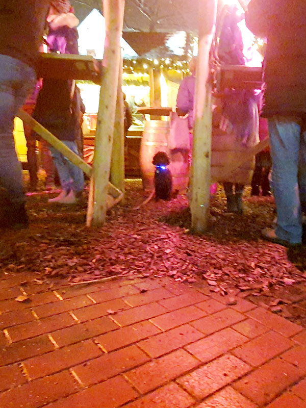 Weihnachtsmarkt ohne uns, weil da Hunde sind